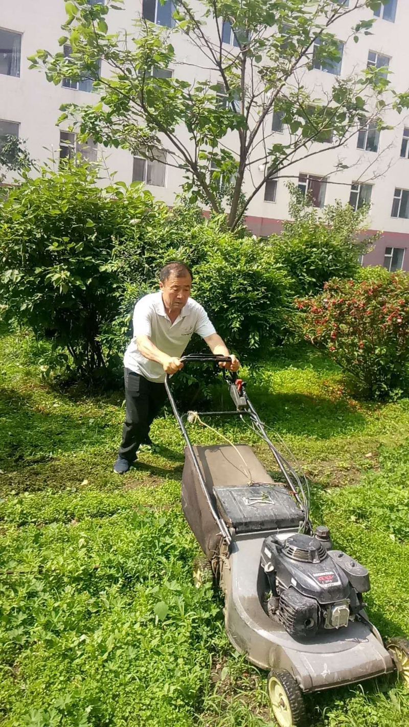 2018-6-18三區打草坪1.jpg